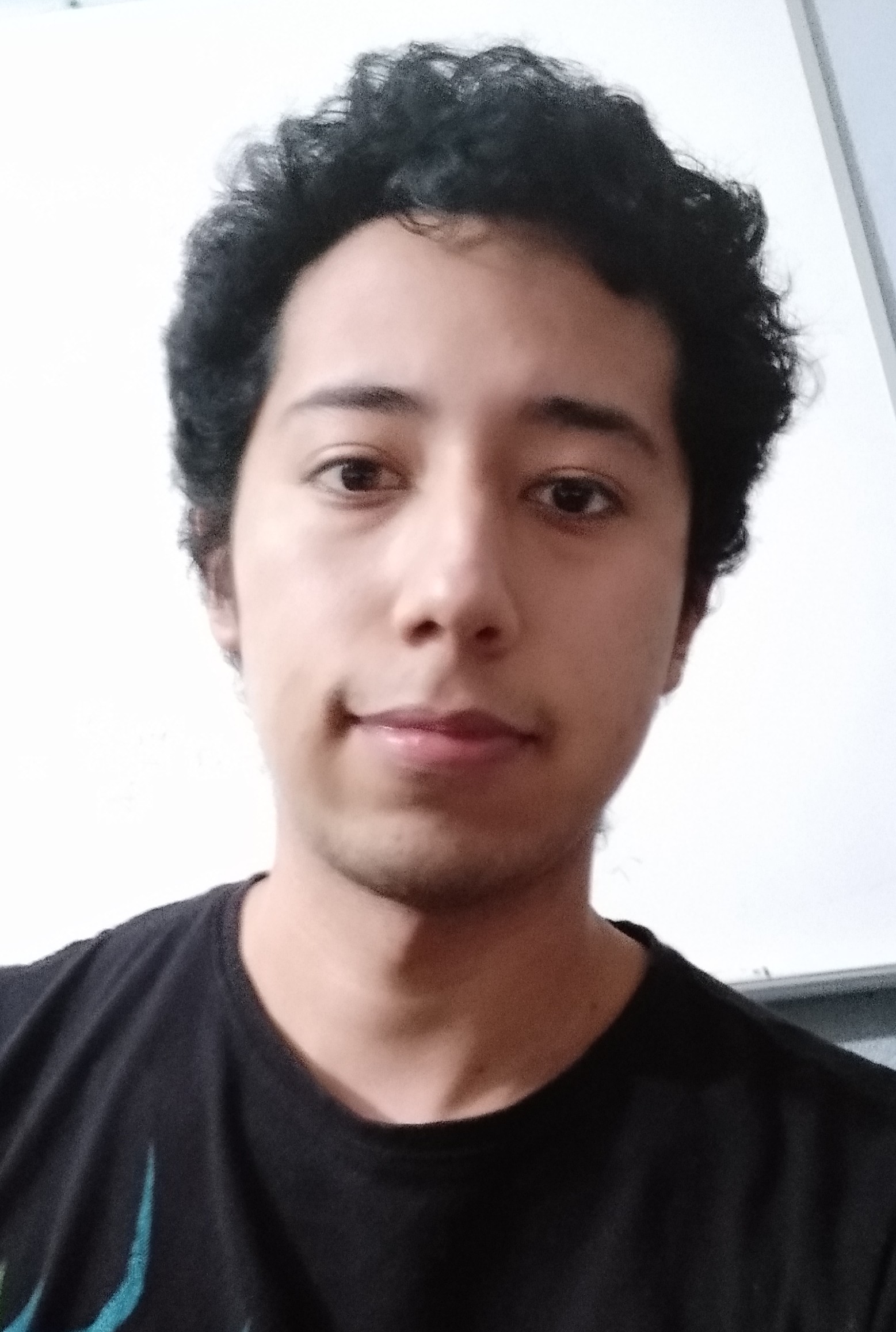 Ronaldo Navarro Ambriz